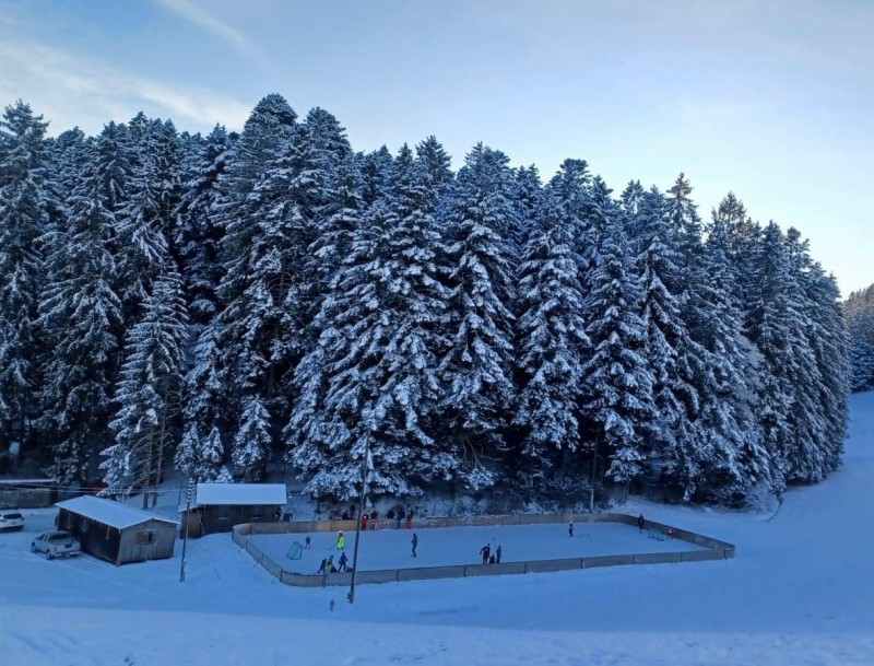 Natureisbahn Than | EHC Reutenen, Eisbahn